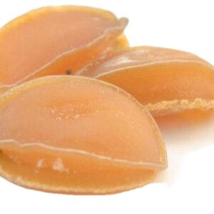 Dried Gold Abalone Seafood