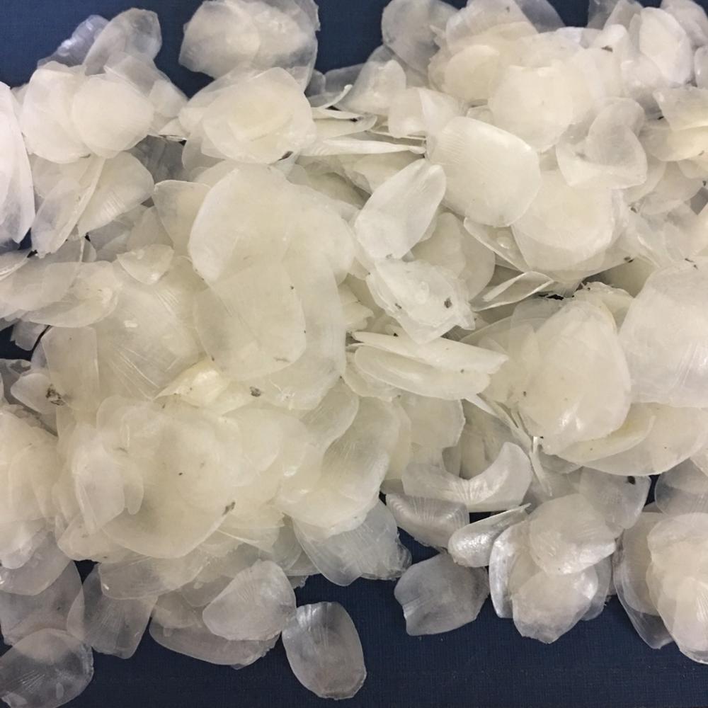 Tilapia fish scales