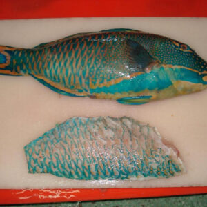 Frozen parrot fish